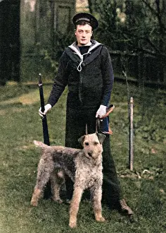 Airedale: An Airedale sentry dog supplied to Navy by Major Richardson