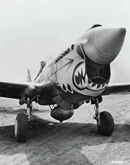 Warhawk: Airplane - WWII - Flying Tigers