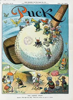 Craze: The airship craze