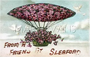 Sleaford: AIRSHIP WITH FLOWERS