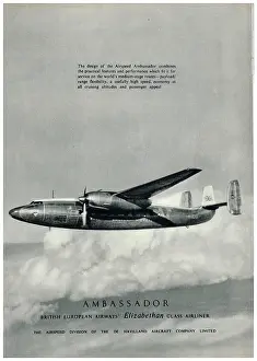 Airspeed Ambassador