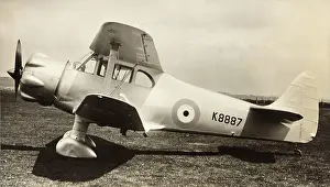 Drones: Airspeed AS-30 Queen Wasp