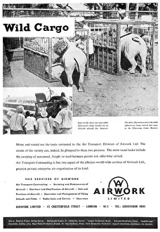 Airwork: Airwork