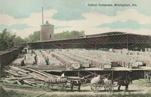 Compress: Alabama - Cotton Compress at Birmingham