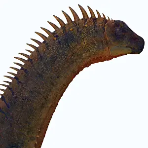 Spiked: Alamosaurus Dinosaur Head