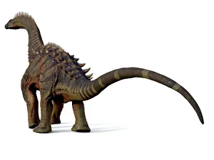 Spiked: Alamosaurus dinosaur, rear view