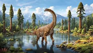 Stocktrek Images: Alamosaurus dinosaur in a shallow lake of the