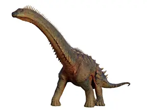 Titanosaur: Alamosaurus dinosaur walking