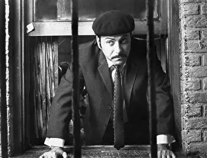 Caucasian Ethnicity: Alan Arkin - man - actor - celebrity - entertainment