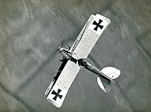 Ciii: Albatros CIII