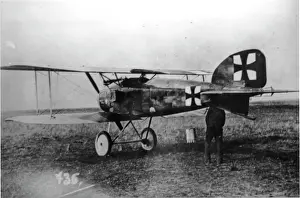 Tailup: Albatros D II German fighter plane