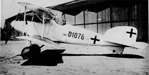 Angular: Albatros D II German fighter plane