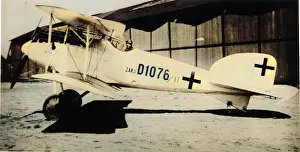 Angular: Albatros D II German fighter plane