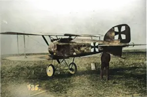 Tailup: Albatros D II German fighter plane