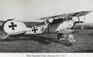 Luftstreitkrfteww1: Albatros D.V