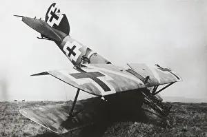 Luftstreitkrfteww1: Albatros D.V
