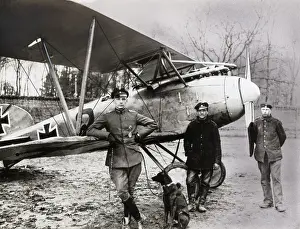 Luftstreitkrfteww1: Albatros D.V