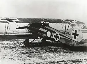 Luftstreitkrfteww1: Albatros D.V