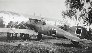 Luftstreitkrfteww1: Albatros D.V