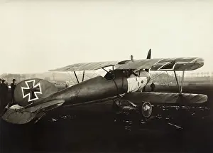 Luftstreitkrfteww1: Albatros D.V