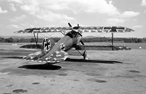 Recovered: Albatros D.Va D.5930/17