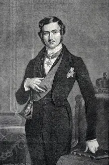 Institucin: Albert of Saxe-Coburg and Gotha (1819-1861). Prince