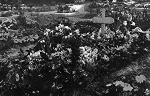 Schlageter: Albert Schlageter