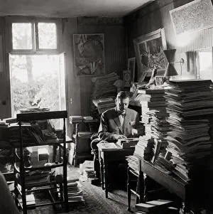 Schulze: Albert Schulze-Vellinghausen