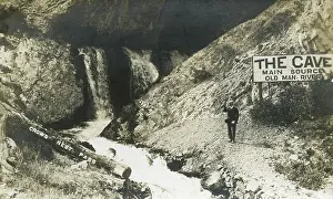Crows: Alberta, Canada - Crows Nest Pass