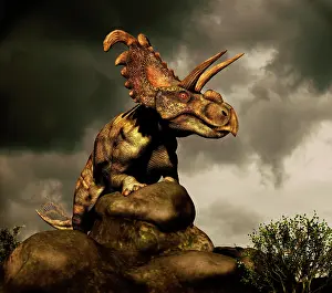 Nesmoi: Albertaceratops surveys the land