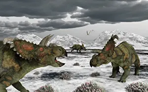 Permafrost: Albertaceratops during their winter migration