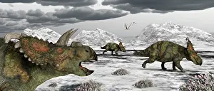 Permafrost: Albertaceratops during their winter migration