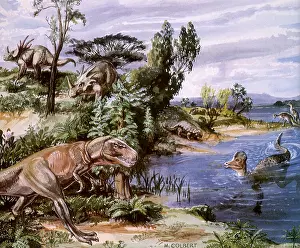 Styracosaurus: Albertasaurus, Corythosaurus, Ankylosaurus, & Styracosaurus