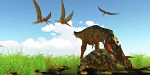 Pteranodon: An Albertosaurus attacks an Albertaceratops with