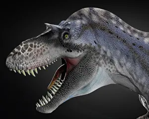 Carnosauria: Albertosaurus dinosaur head, close-up