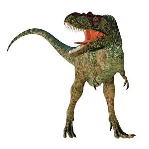 Sarcophagus: Albertosaurus dinosaur, front view on white background