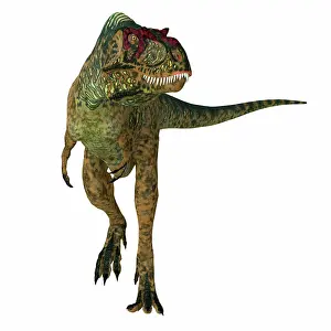 Sarcophagus: Albertosaurus dinosaur, front view on white background