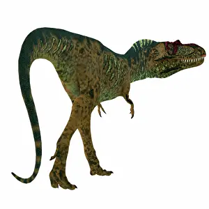 Markings: Albertosaurus dinosaur on white background