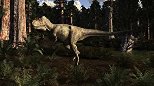 Albertosaurus: Albertosaurus sarcophagus wanders a prehistoric forest