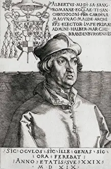 Albertus: Albertus Magnus