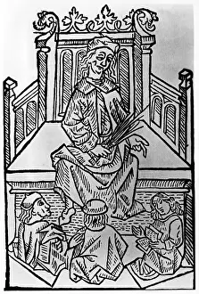 Magnus: Albertus Magnus