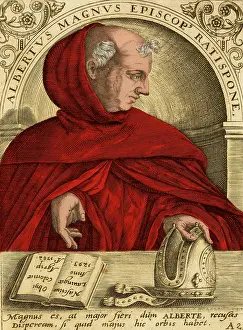 Teachings: Albertus Magnus, Medieval Philosopher