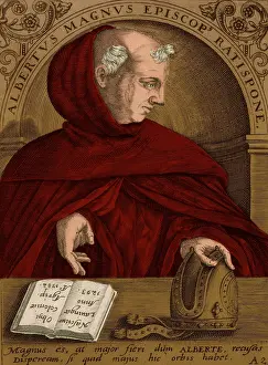 Albertus: Albertus Magnus, Medieval Philosopher