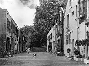 Backstreet: ALBION MEWS LONDON