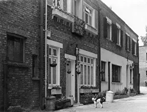 Backstreet: ALBION MEWS LONDON