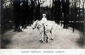 Archducal: ALBRECHT. DONKEY, DOG