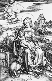 Duerer: Albrecht Duerer