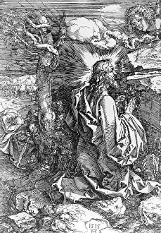 Duerer: Albrecht Duerer