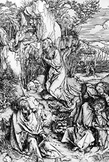 Duerer: Albrecht Duerer