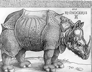 Duerer: Albrecht Duerer